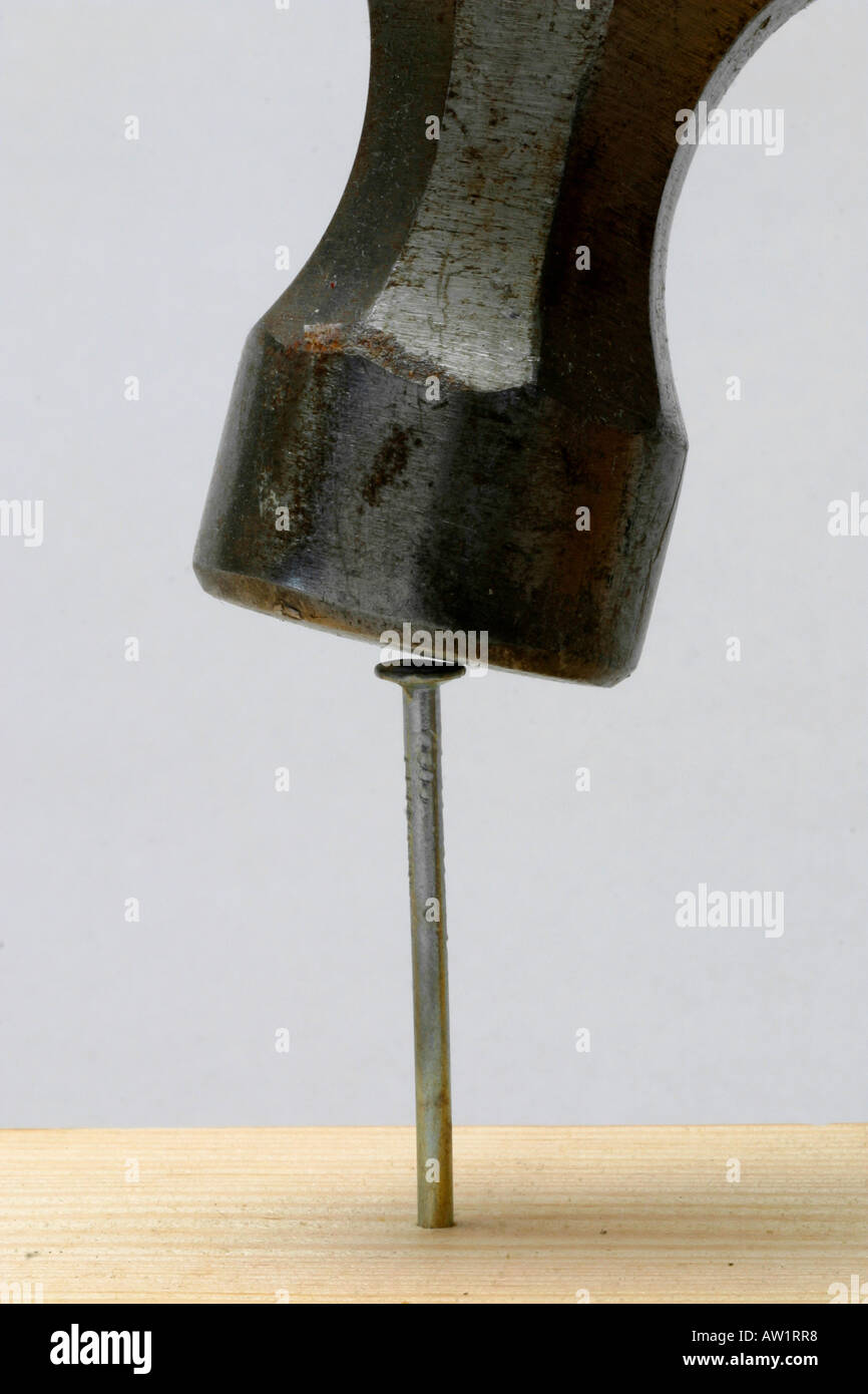 Clou dans le bois, hammer Banque D'Images
