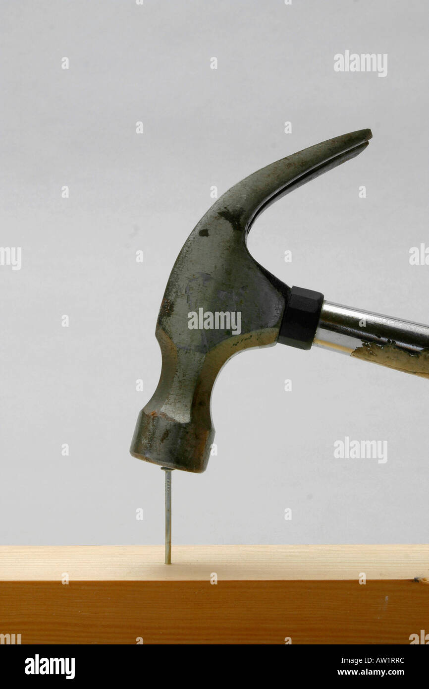 Clou dans le bois, hammer Banque D'Images