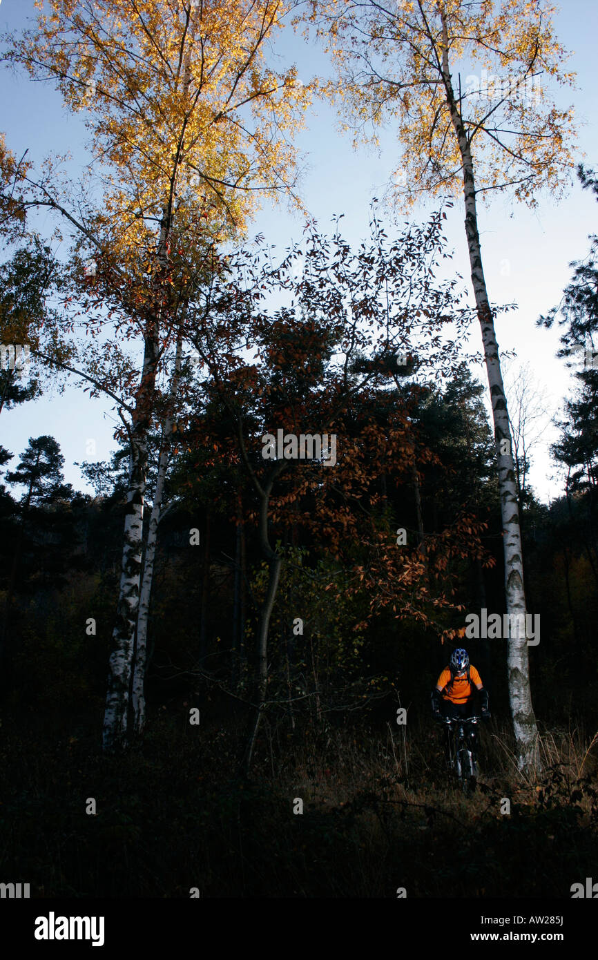 Équitation dans une forêt. Reano, Torino, Italia. Banque D'Images