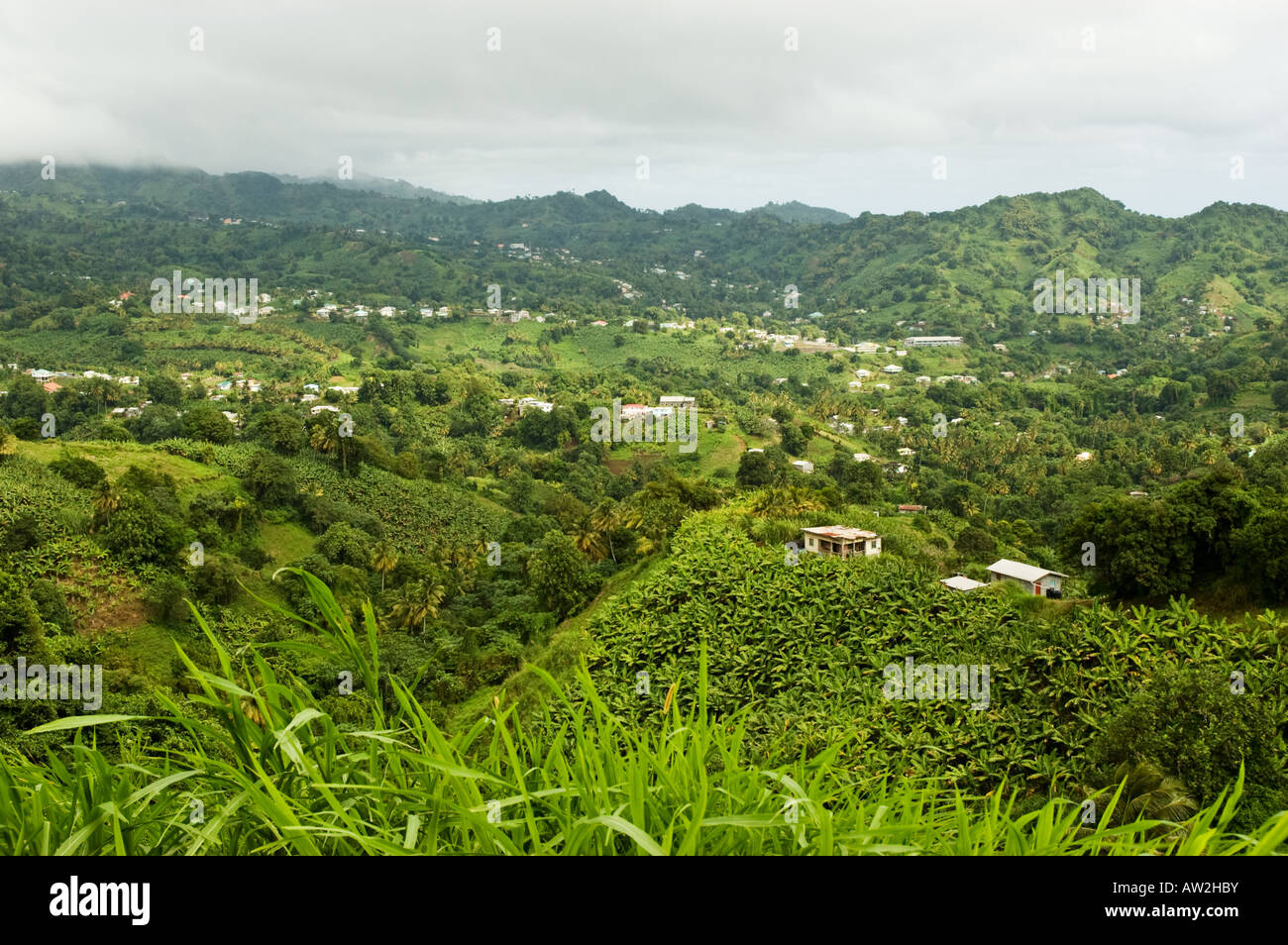 La recherche à travers la fertile vallée Mesopatamia St Vincent Banque D'Images