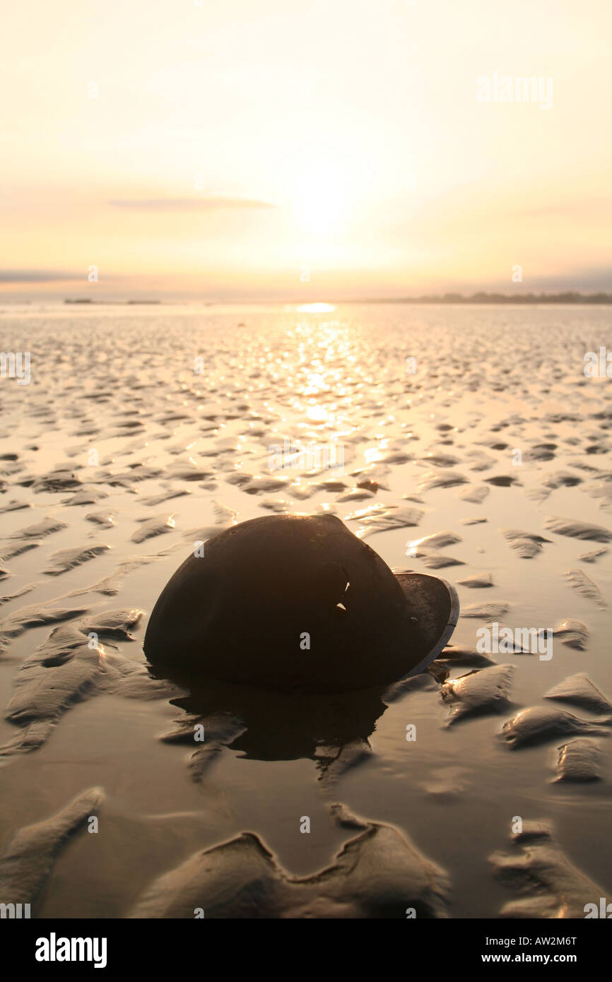 World War 2 casque britannique sur Gold Beach Arromanches Bayeux Normandie France d-day anniversaire Banque D'Images