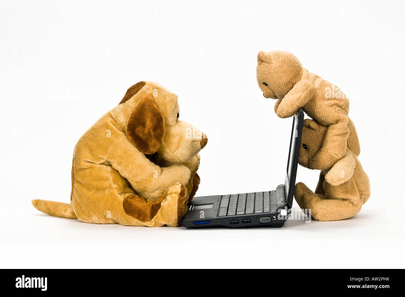 Doudou chien marron working at laptop avec deux ours brun en peluche regarder à l'arrière de l'écran Banque D'Images
