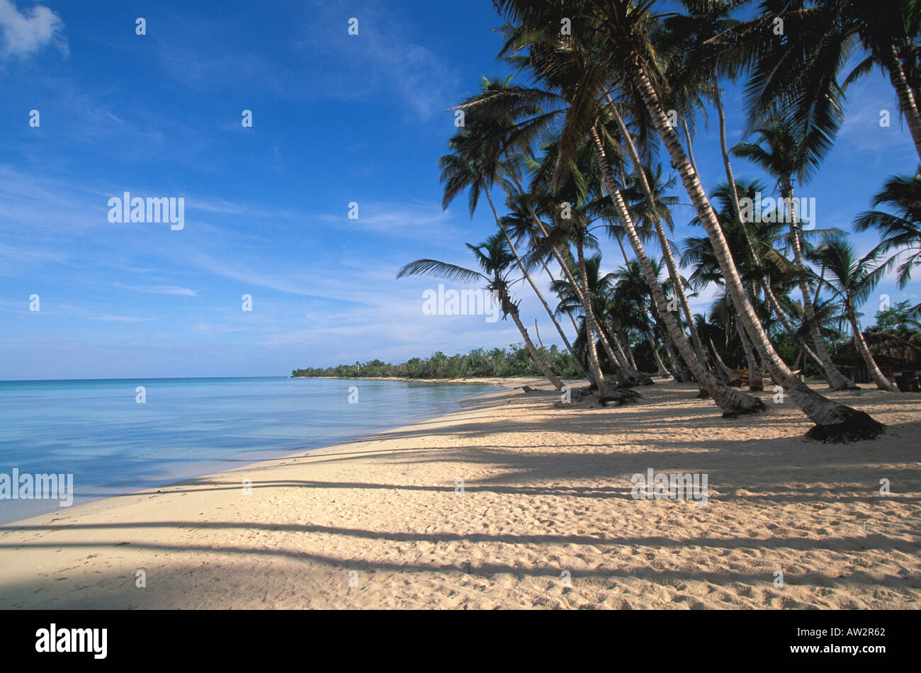 République dominicaine plage déserte à Isla Saona Bayahibe La Romana salon Banque D'Images