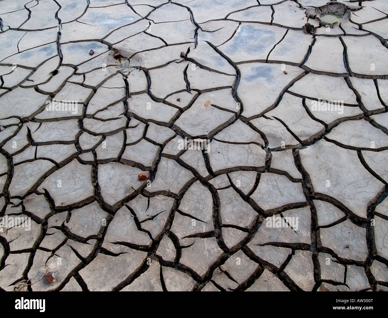 La texture de la terre sèche fissurée Banque D'Images