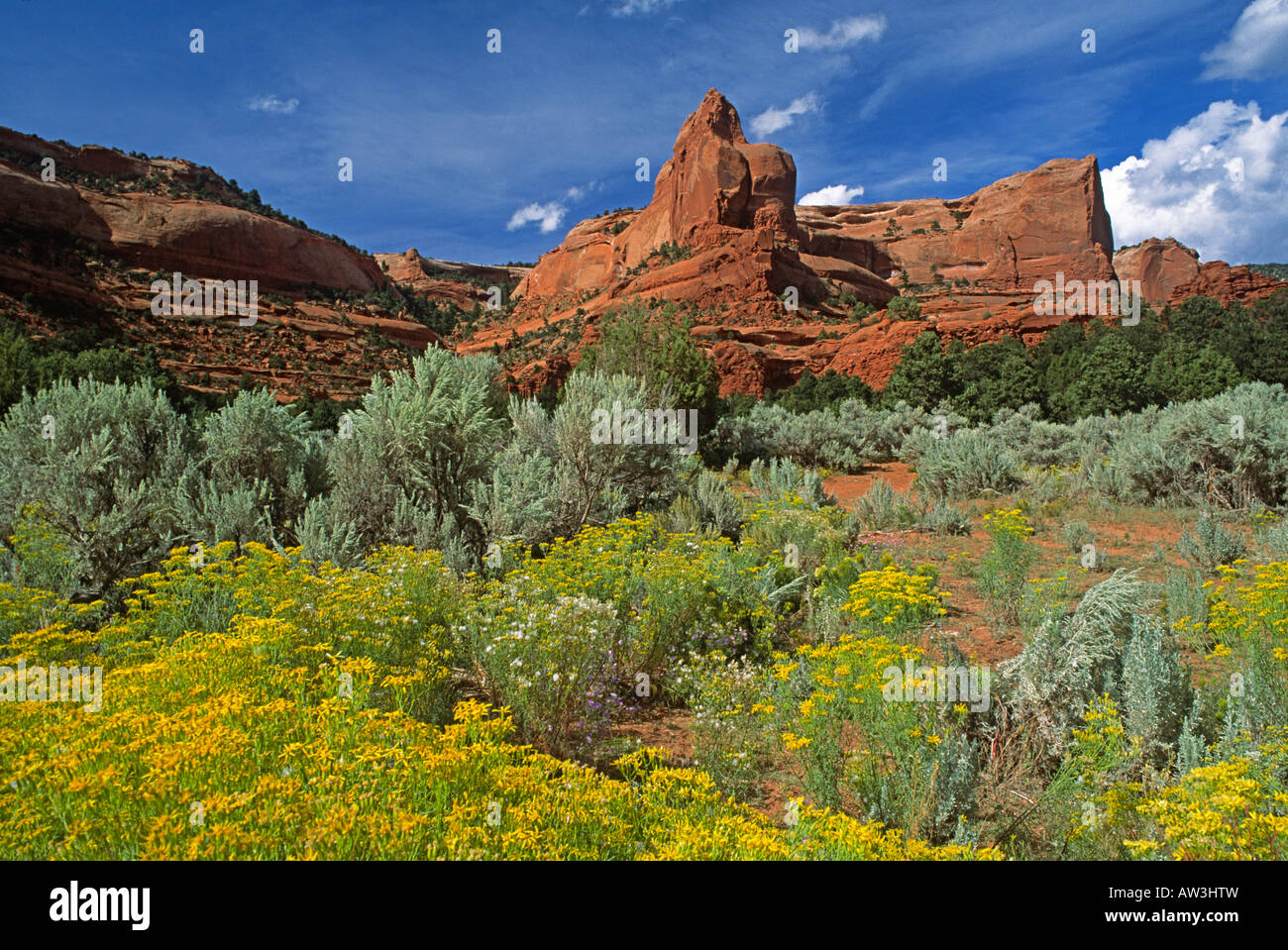 Chuska Mountains Banque D'Images