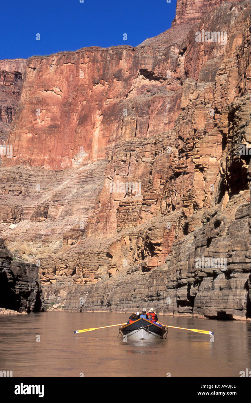 Le projet de loi 'Bronco' lignes Bruchak en aval de la rivière, Grand Canyon, Arizona Banque D'Images