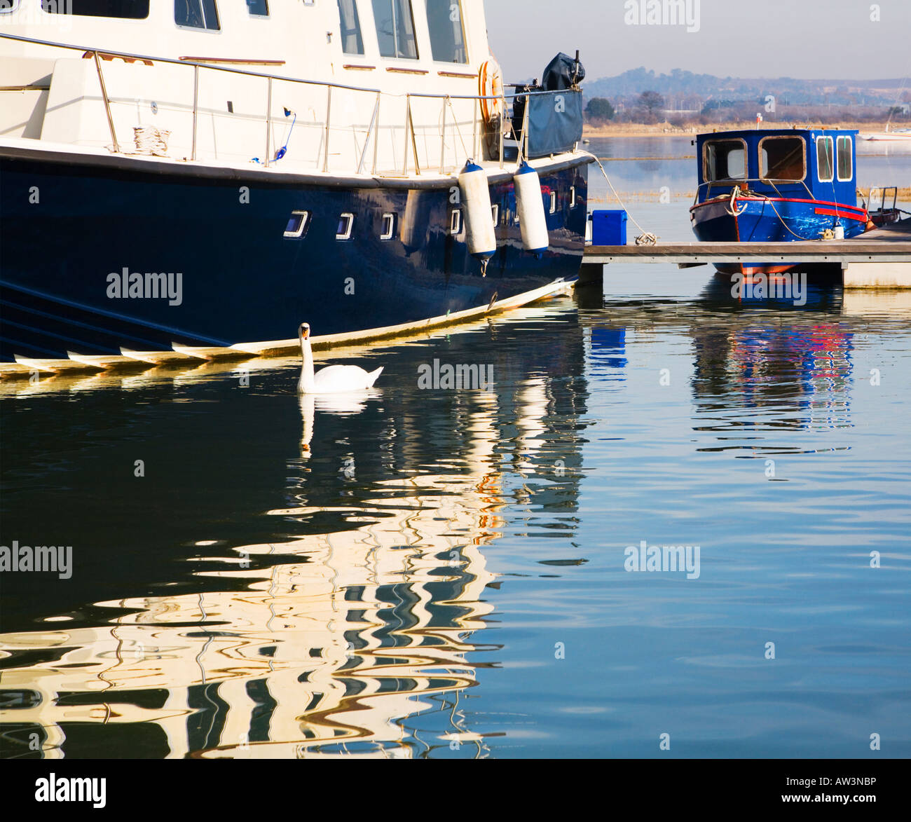 Rippled water, Swan et bateaux à la marina. Poole, Dorset. UK. Banque D'Images
