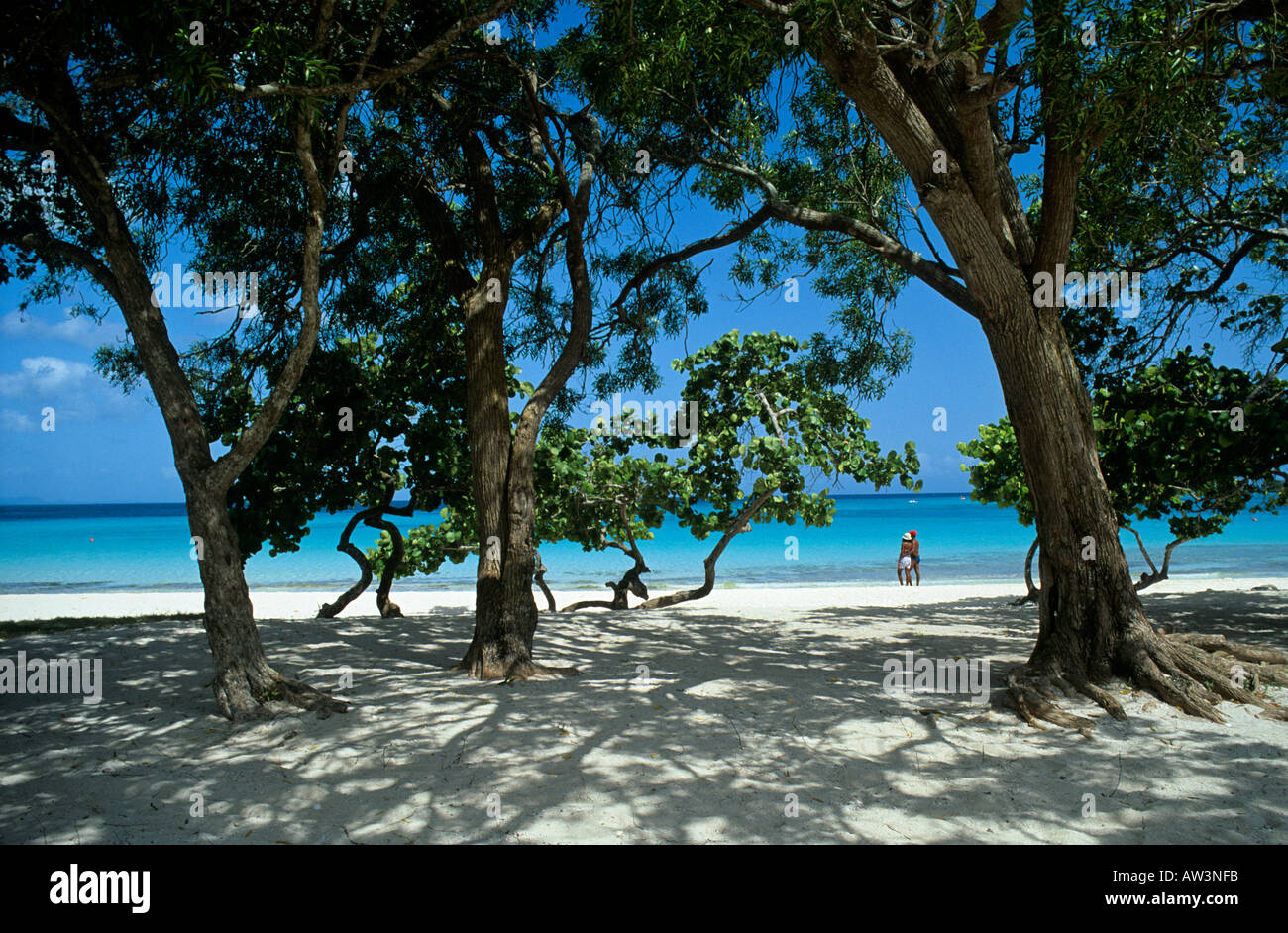 Couple sur la plage tropicale déserte Banque D'Images