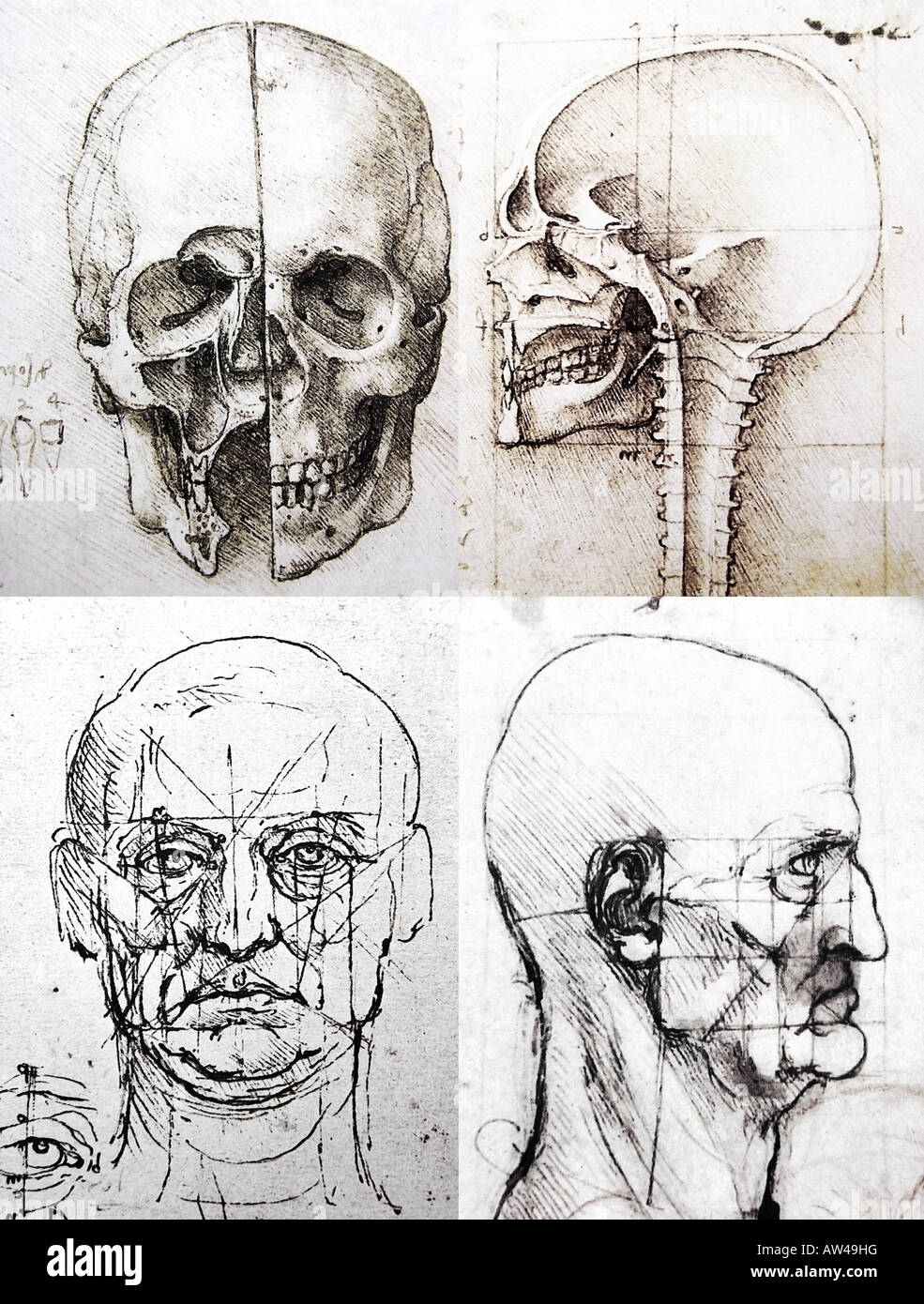 Croquis de la tête de Léonard de Vinci Banque D'Images