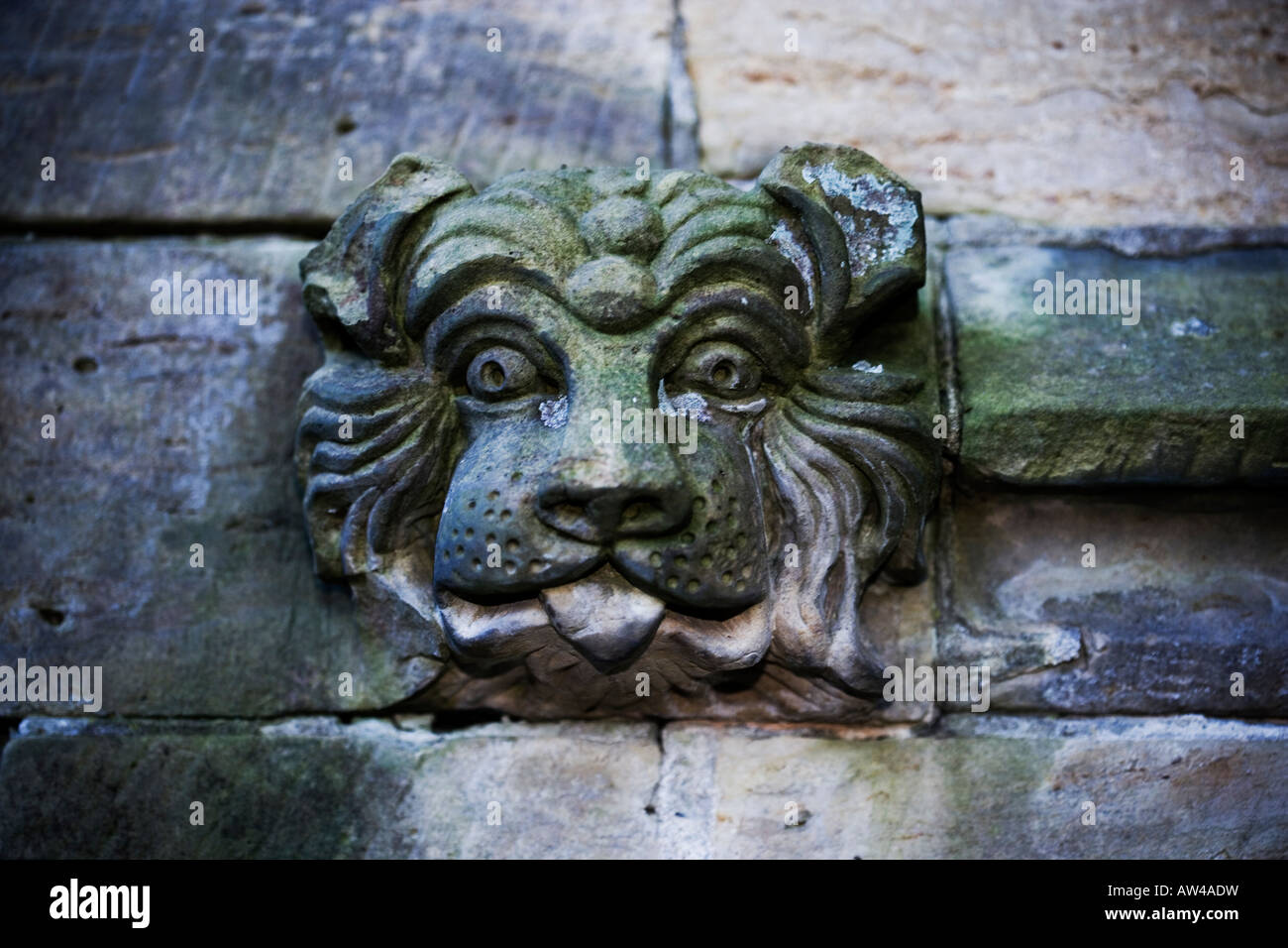 Gargouille en pierre sculptée Banque D'Images