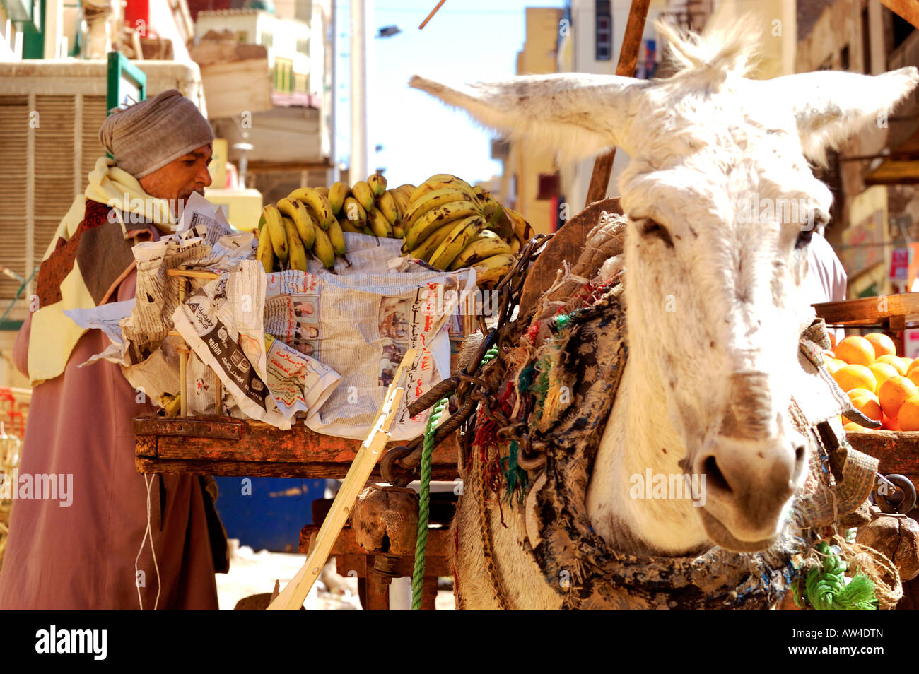 Négociant, déchargeant des légumes et des fruits du chariot de âne pour les  porteurs de la stalle dans le célèbre vieux souq appelé Sharia el Souk à  Assouan, Egpyt Photo Stock -