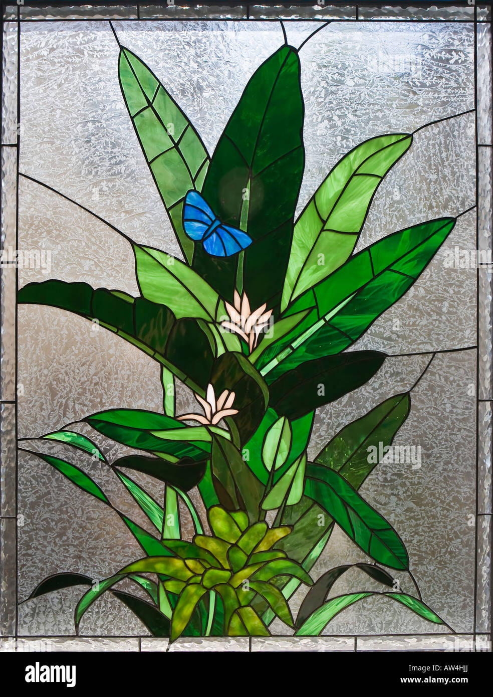 Vitrail de plante verte et bleu papillon. Banque D'Images