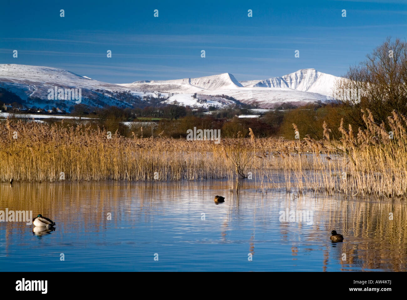 Les Brecon Beacons et Llangorse Lake en hiver, le parc national de Brecon Beacons, Pays de Galles, Royaume-Uni. Banque D'Images
