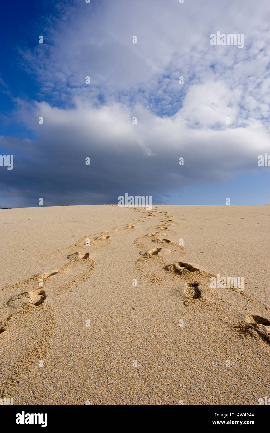 Deux séries d'empreintes de pas de disparaître sur la crête d'une dune de sable Banque D'Images
