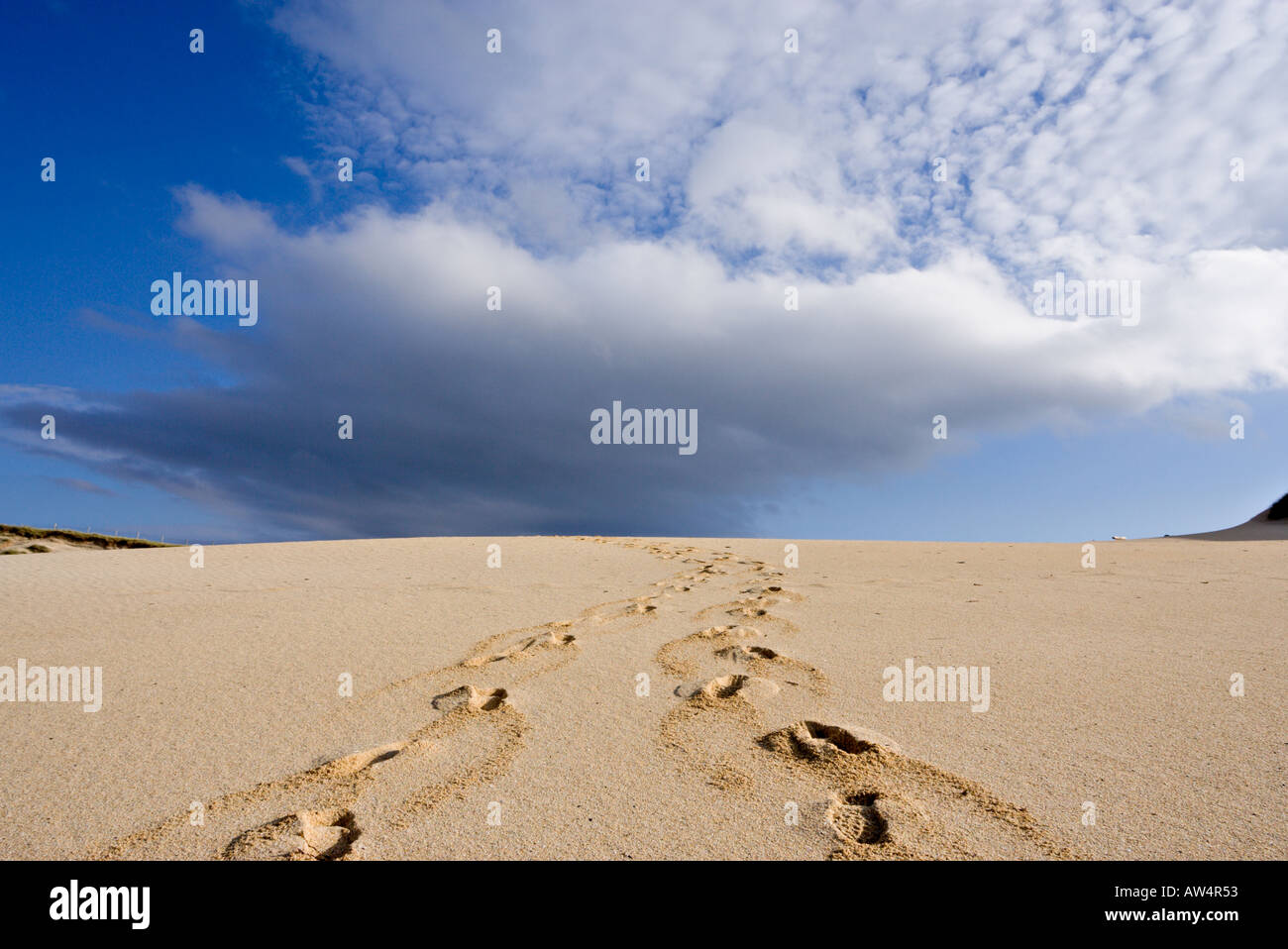 Deux séries d'empreintes de pas de disparaître sur la crête d'une dune de sable Banque D'Images
