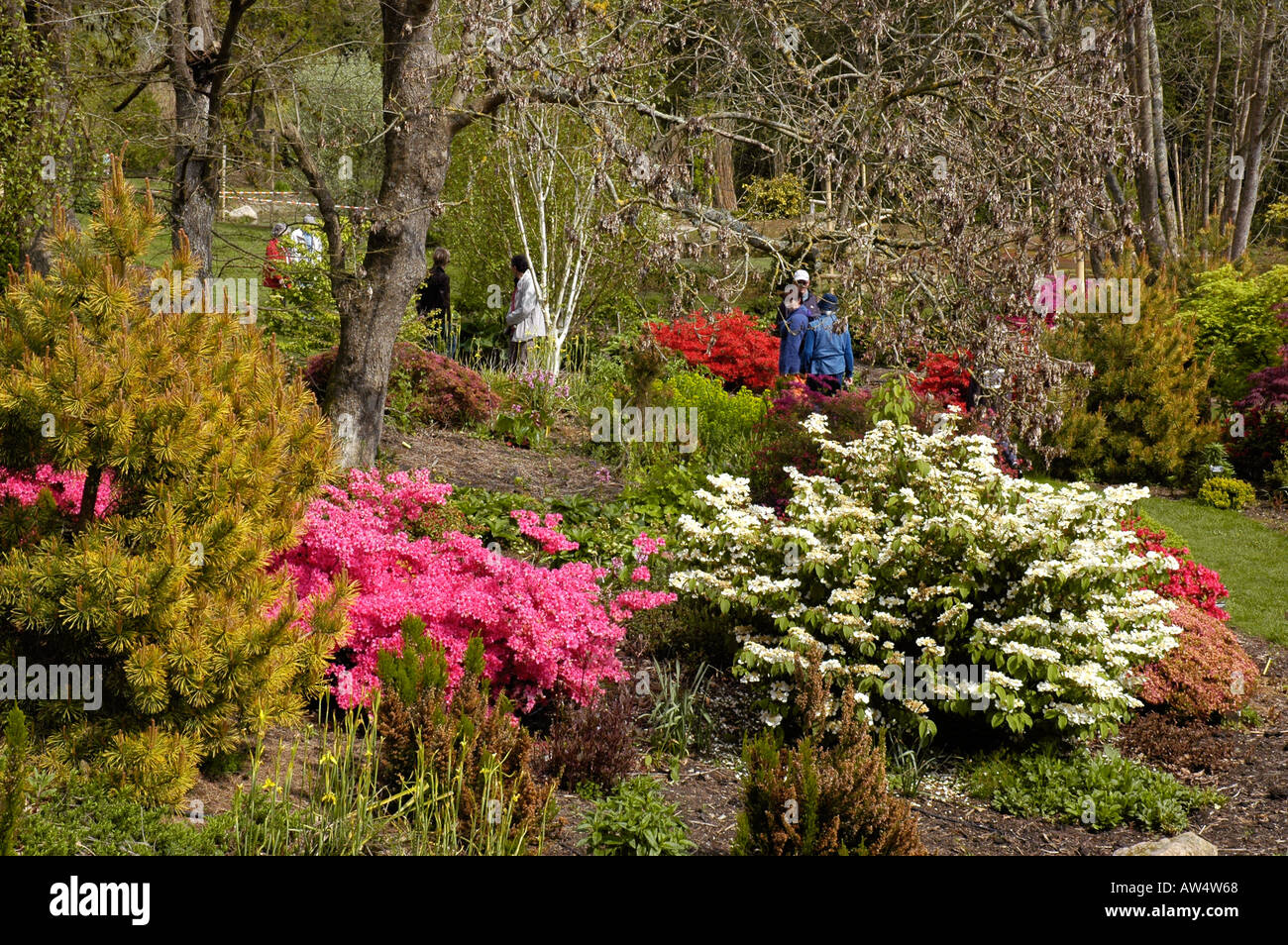 Rospico garden finistere Banque de photographies et d'images à haute  résolution - Alamy