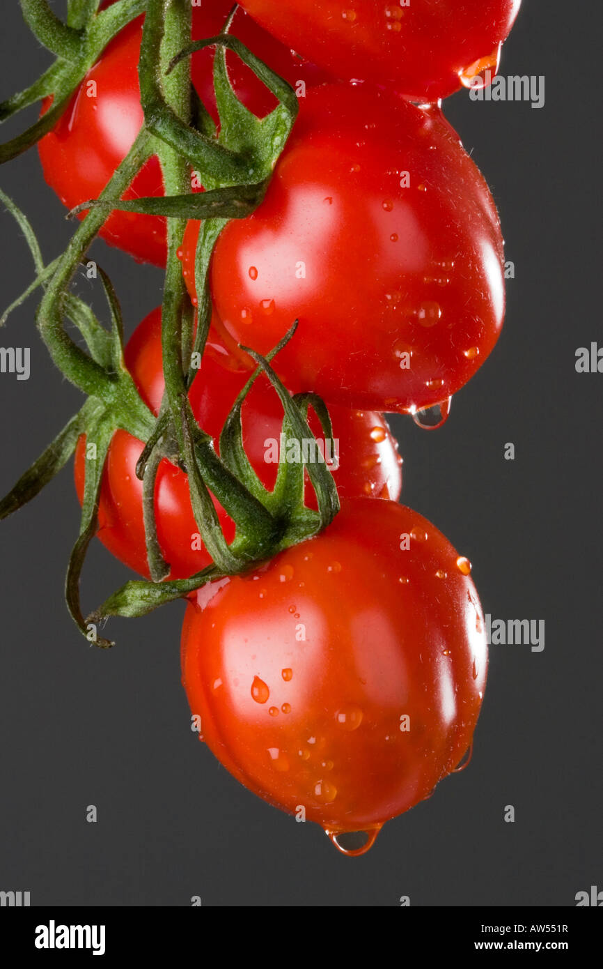 L'eau qui goutte sur un tas de tomates de vigne Banque D'Images