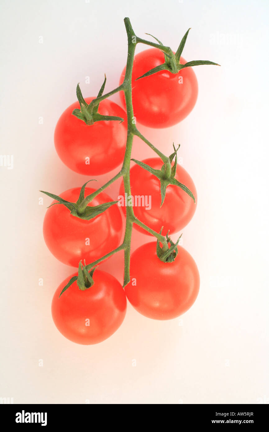 Tomates cerises Banque D'Images