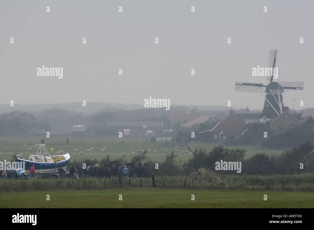 Bateau de sauvetage l'alimentation du cheval blanc uniquement dans le monde de la mer des Wadden Île Ameland Banque D'Images