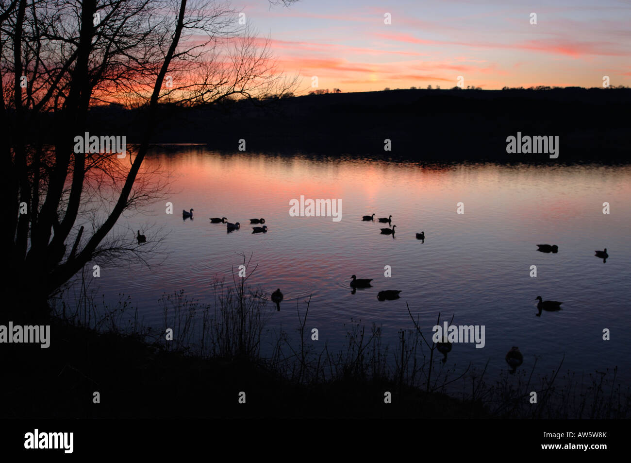 Une soirée Sur Tittisworth,Réservoir dans le Staffordshire en Angleterre. Banque D'Images