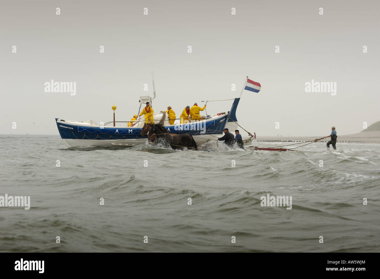 Bateau de sauvetage l'alimentation du cheval blanc uniquement dans le monde de la mer des Wadden Île Ameland Banque D'Images