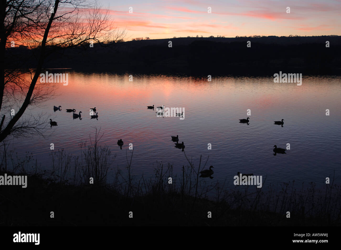 Une soirée Sur Tittisworth,Réservoir dans le Staffordshire en Angleterre. Banque D'Images