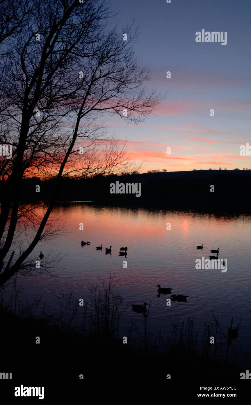 Une soirée Sur Tittisworth,Réservoir dans le Staffordshire en Angleterre. Banque D'Images
