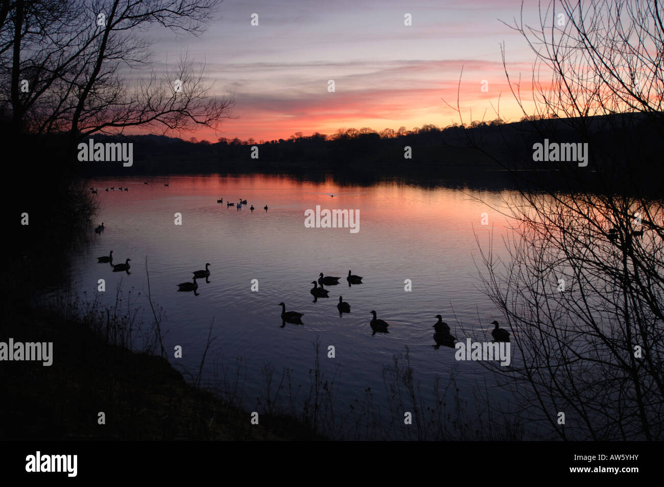 Une soirée Sur Tittisworth,Réservoir dans le Staffordshire en Angleterre. Banque D'Images