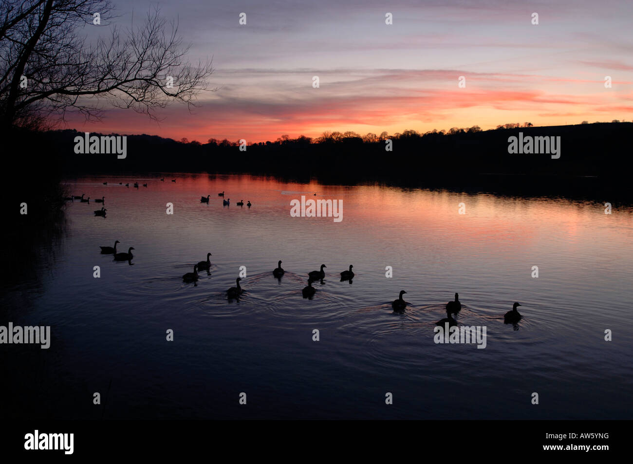 Une soirée Sur Tittisworth,Réservoir dans le Staffordshire en Angleterre. Banque D'Images