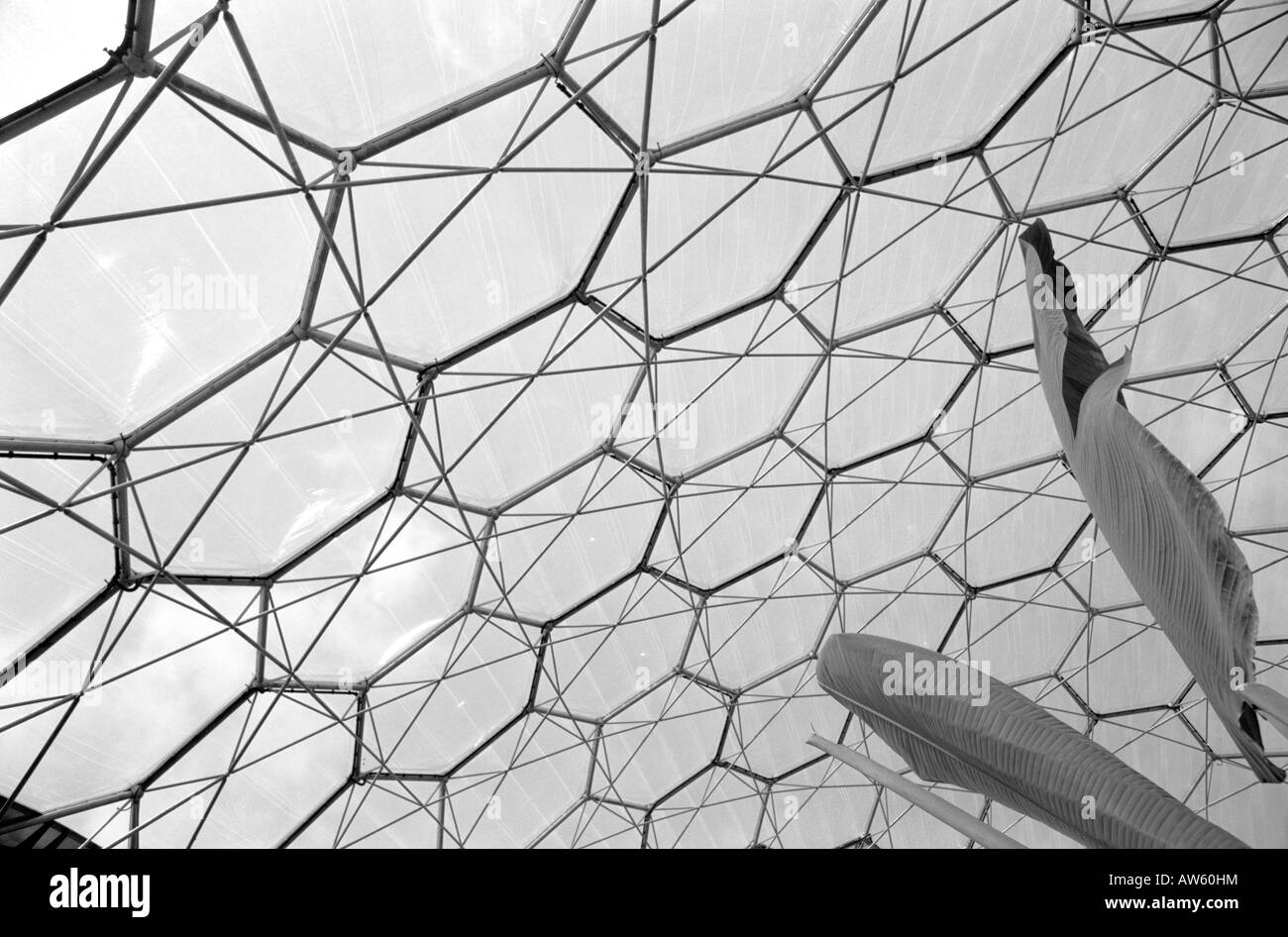 Point de vue de l'eden project détails architecturaux de la sphère avec un contraste élevé ciel dans l'arrière-plan Banque D'Images