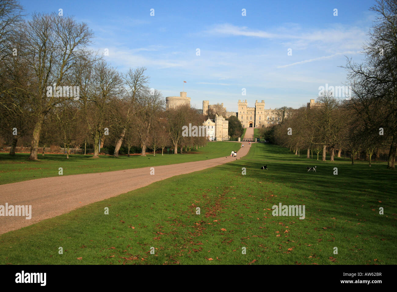 La tour ronde et les grands appartements du château de Windsor Vue de la Longue Marche, Windsor Great Park, Angleterre. Banque D'Images