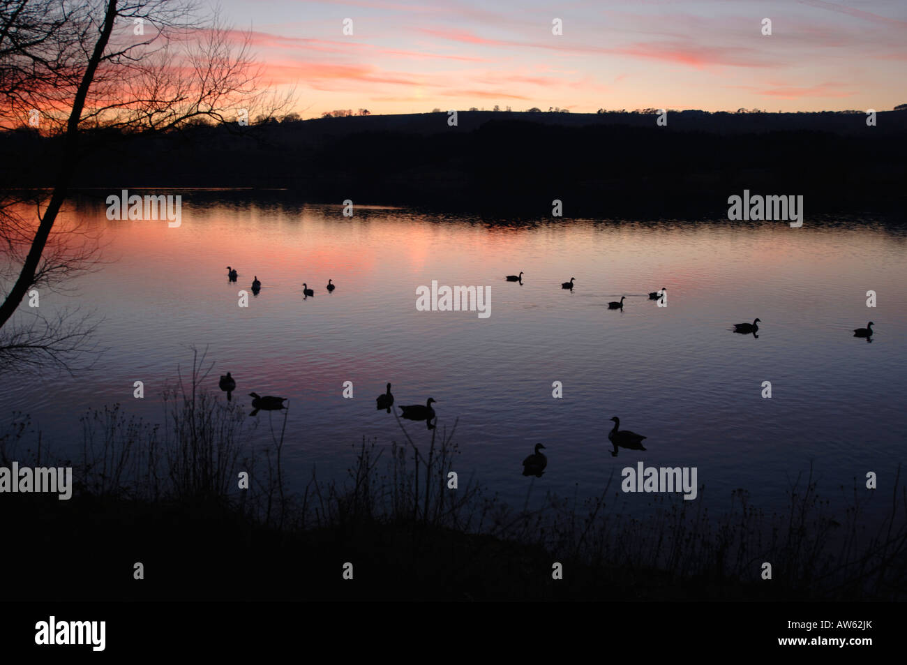 Une soirée Sur Tittisworth,Réservoir dans le Staffordshire en Angleterre. Banque D'Images