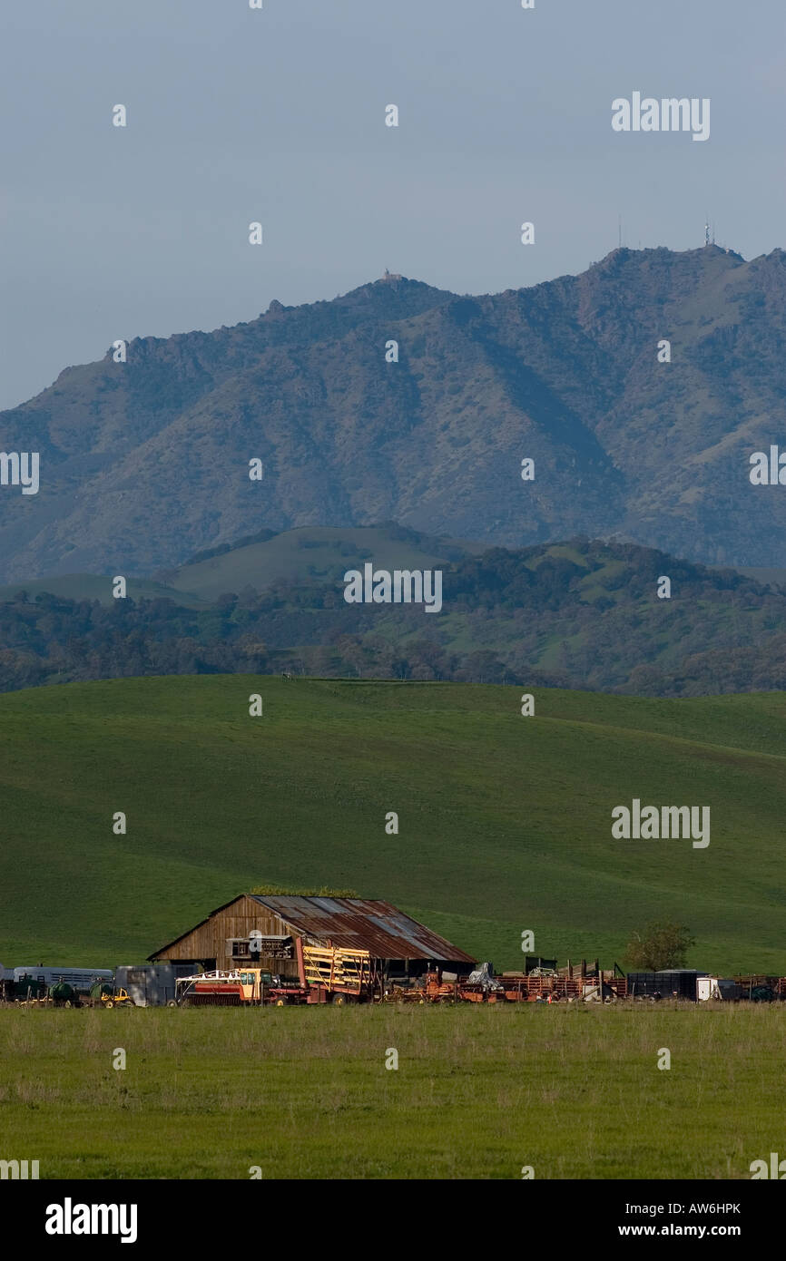 Mount Diablo est vu au-delà des collines vertes d'Antioche, en Californie le vendredi 7 mars 2008. (Photo de Kevin Bartram) Banque D'Images
