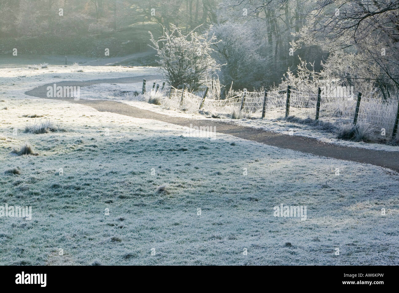 Le gel à l'aube sur la rivière Brathay près de Ambleside Lake district UK Banque D'Images