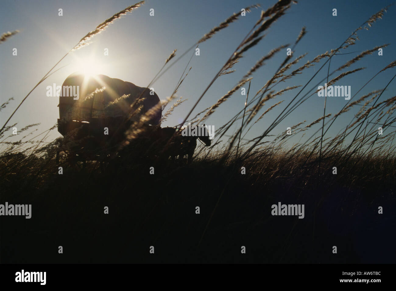 Wagon Train de reconstitution historique dans le Flint Hills du Kansas. Banque D'Images