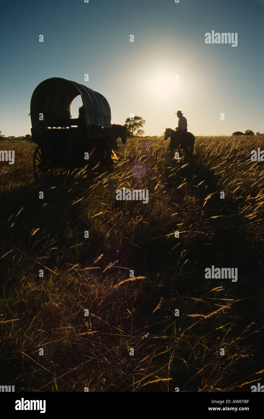Wagon Train de reconstitution historique dans le Flint Hills du Kansas. Banque D'Images