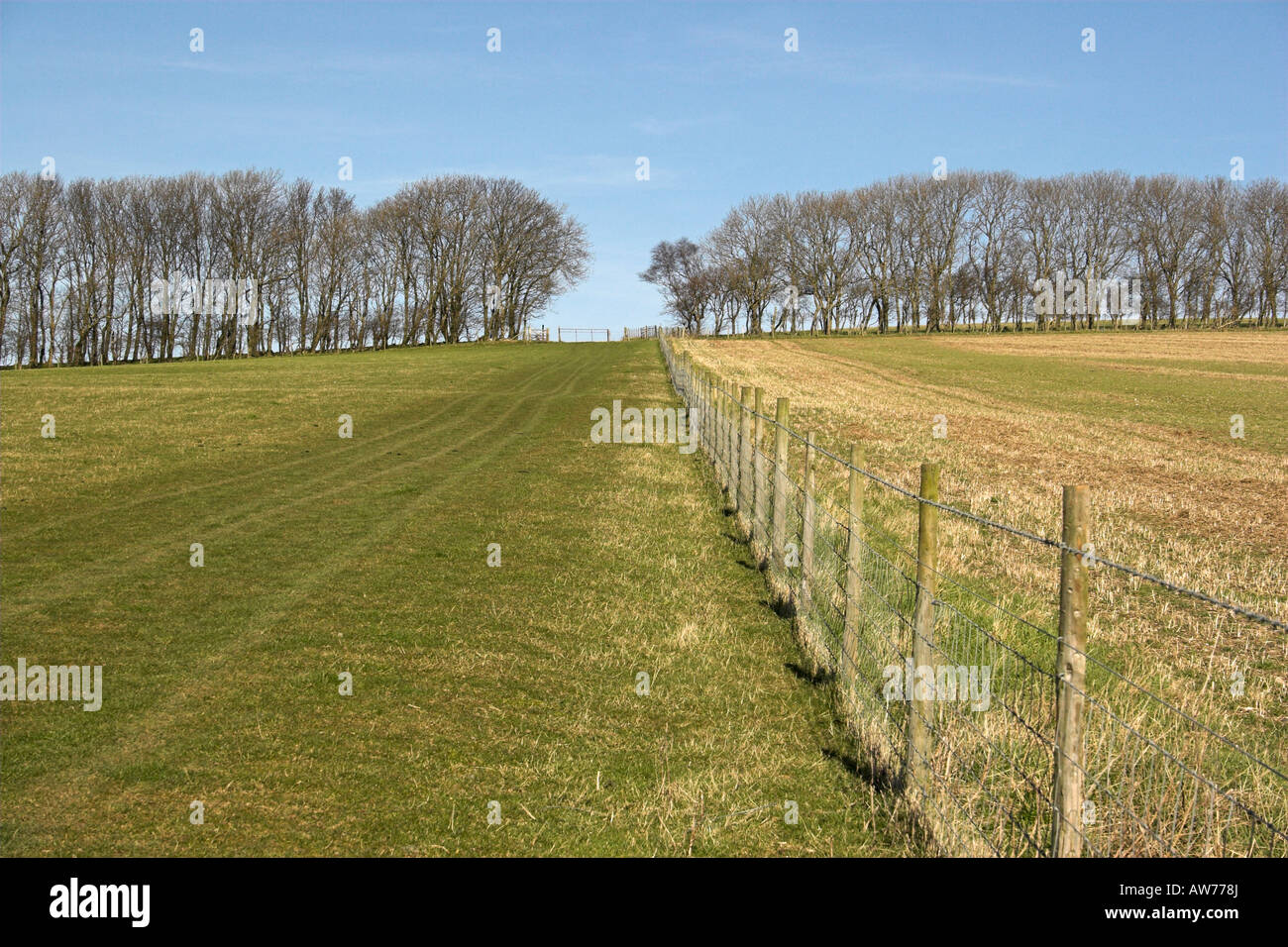 Un downland chemin sur la South Downs mène vers l'ouest de la colline d'avancement Firle, East Sussex. Banque D'Images