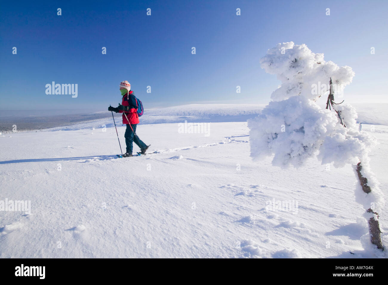 Une femme de la raquette dans le Parc National Urho Kehkkosen près de Houston Le nord de la Finlande Banque D'Images
