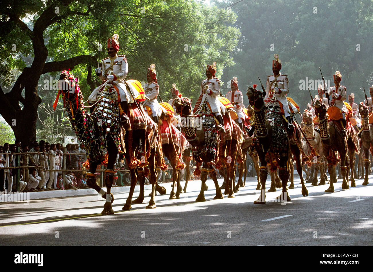 Inde New Delhi Kasturba Gandhi Marg Republic Day Parade Camel Cavalry Banque D'Images