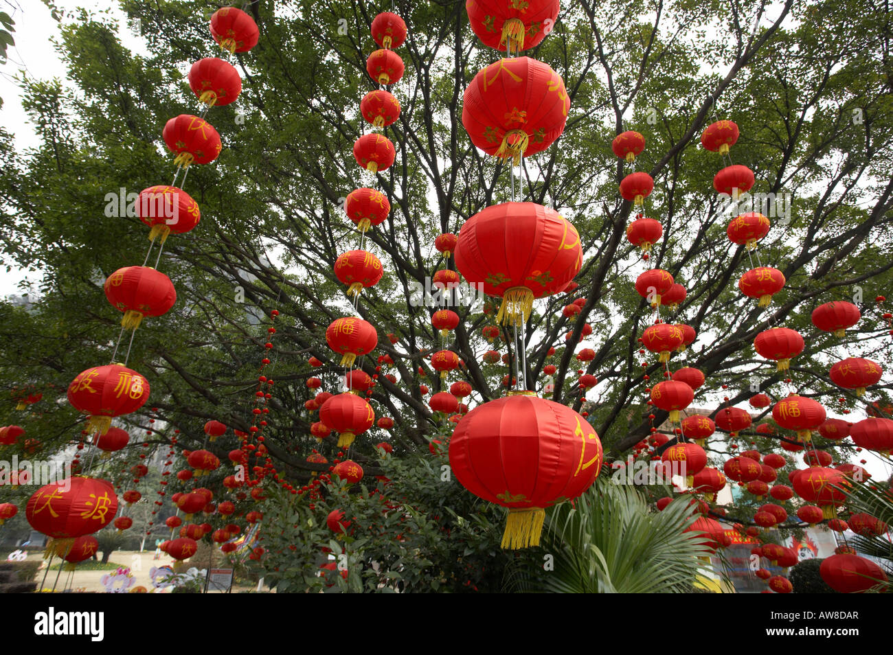 Le Nouvel An chinois Red Lantern Festival célébrations dans Guilin Chine Asie décorations Banque D'Images