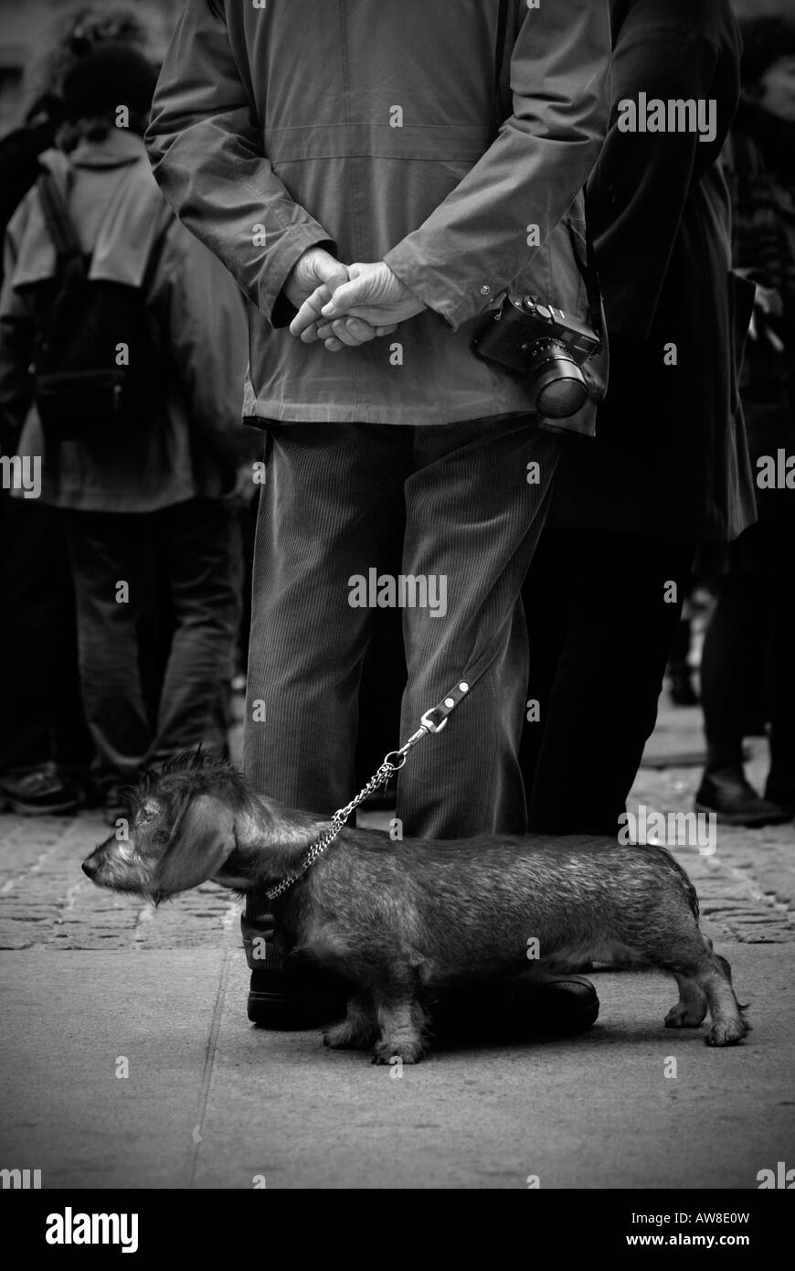 Gianni Berengo Gardin au travail avec son chien Banque D'Images