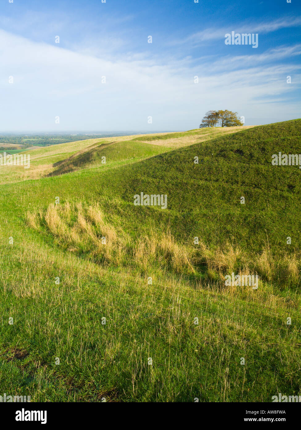 Louche Hill Fort inachevé Grand Litchfield bas Bughclere AONB près de Hampshire UK Banque D'Images