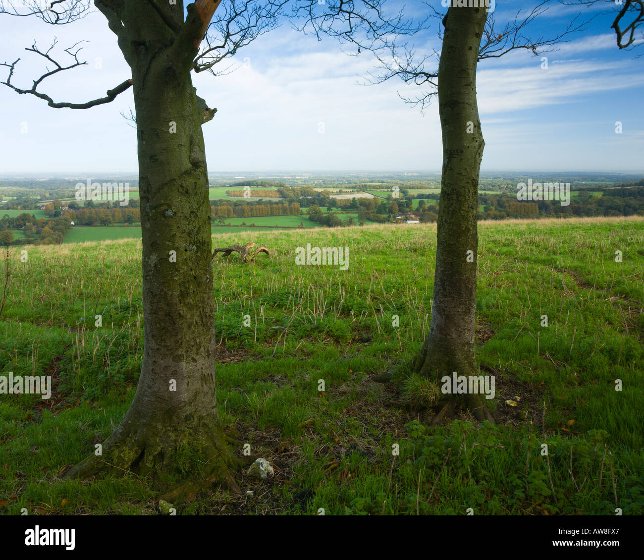 Vue depuis la colline de Fort Grande louche non fini vers le bas près de l'AONB Litchfield Ancienne Bughclere Hampshire UK Banque D'Images