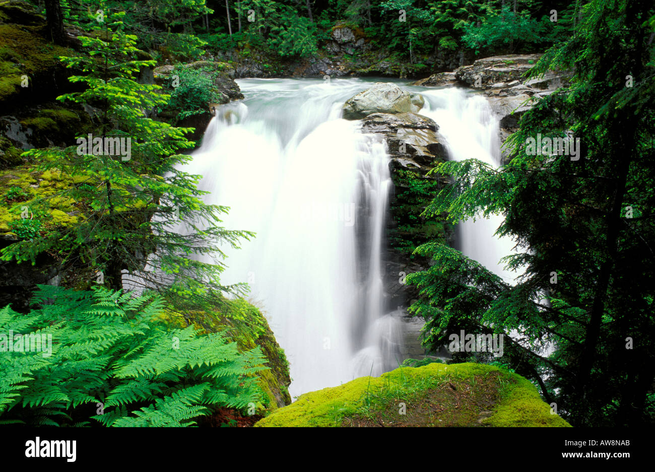 Naseux Falls Mount Baker Snoqualmie Washington Forest National Banque D'Images