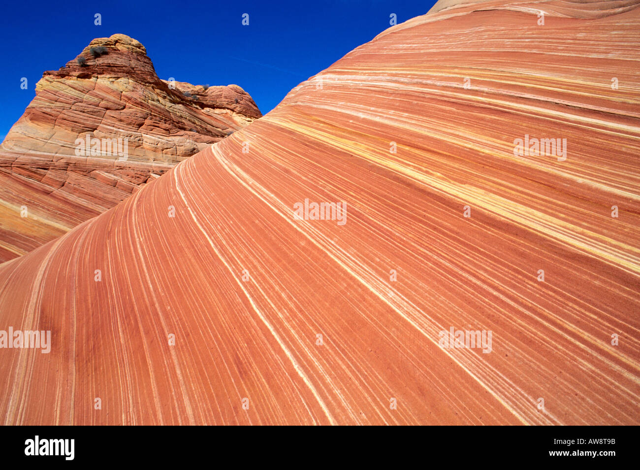 Formation de grès tourbillonnant connu comme la vague Coyote Buttes Paria Canyon désert Arizona Vermilion Cliffs Banque D'Images