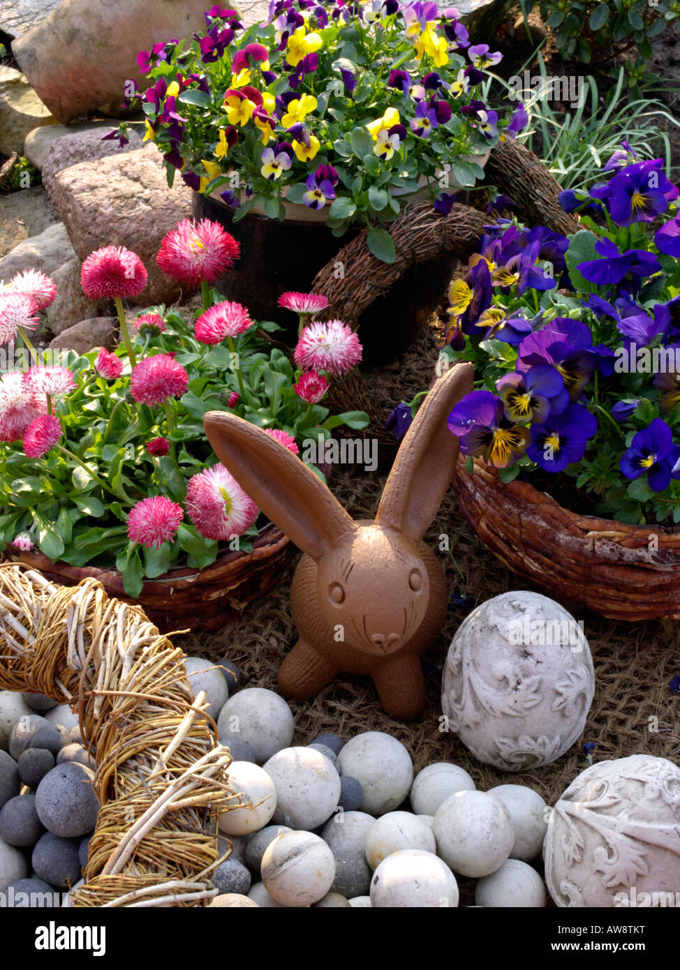 Horned pensées (viola cornuta) et daisy (commune) Bellis perennis avec lapin de Pâques Banque D'Images