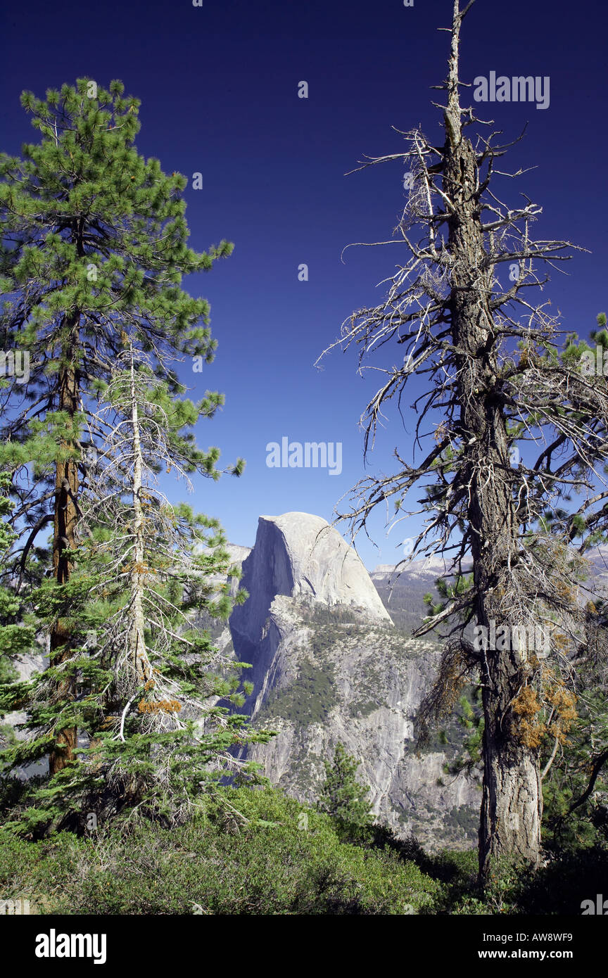 Demi Dôme de Glacier Point Yosemite National Park California USA Banque D'Images