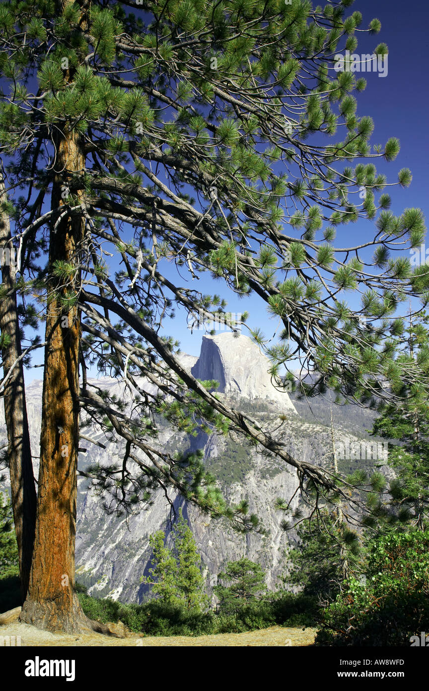 Demi Dôme de Glacier Point Yosemite National Park California USA Banque D'Images