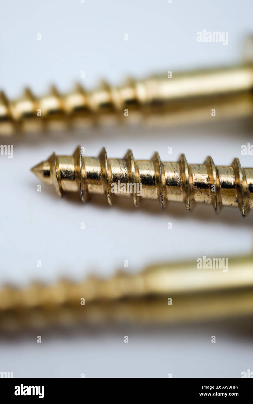 Vis d'or close up Banque D'Images