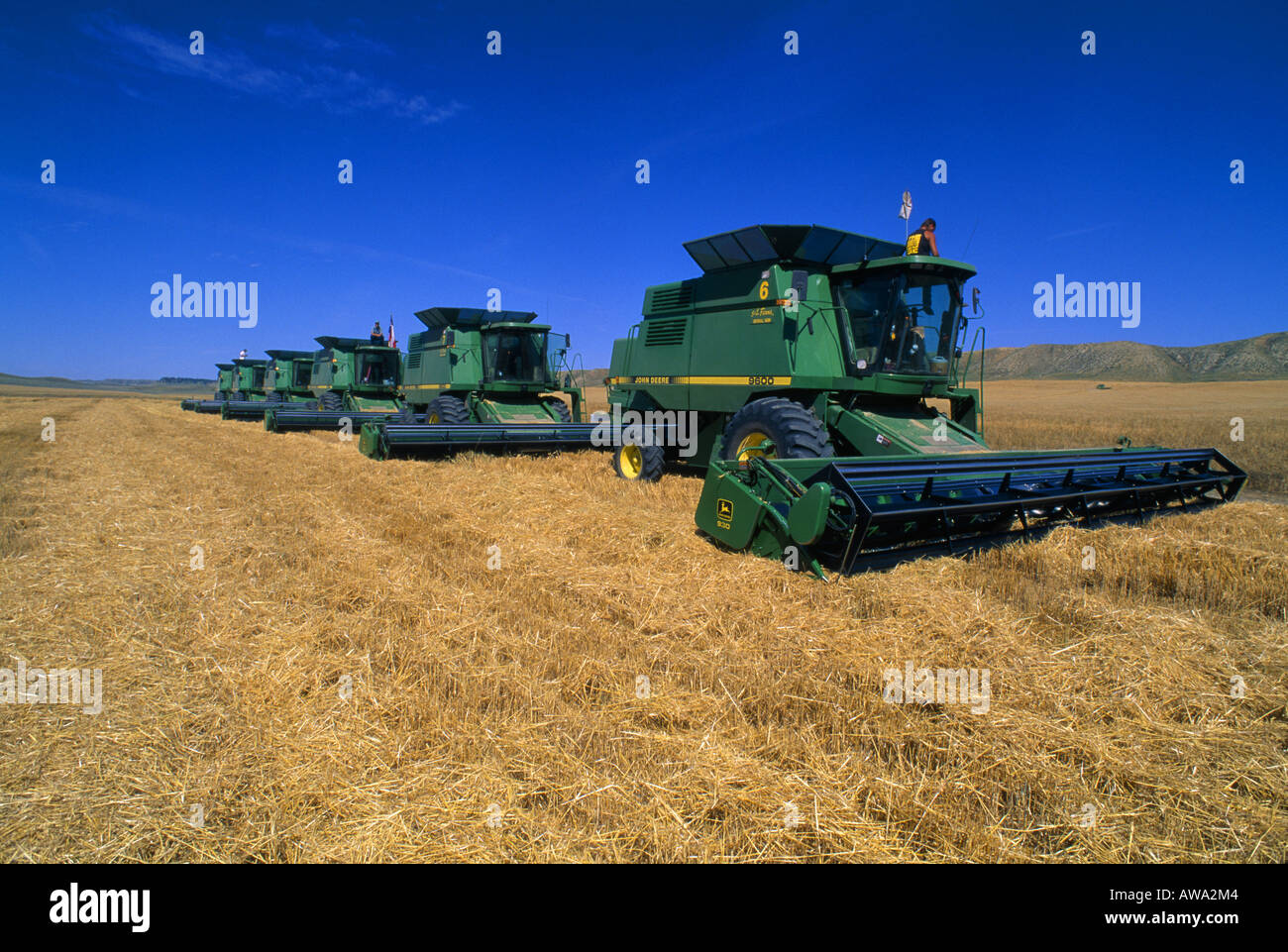 Combinant le BLÉ DE FORCE ROUX DE PRINTEMPS AVEC JOHN DEERE 9600 avec 30 amp amp apos HEADROW MONTANA Banque D'Images